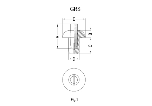GRS 2D 503X350.jpg